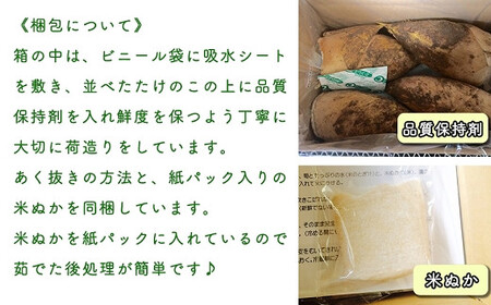 【先行受付】特選 生たけのこ 2kg予約 3月中旬発送 熊本県 南関町産 春 筍