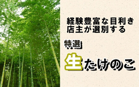 【先行受付】特選 生たけのこ 3.5kg予約 3月下旬発送 熊本県 南関町産 春 筍