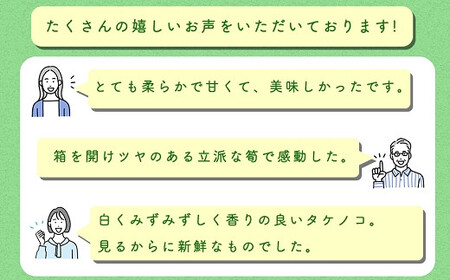 【先行受付】特選 生たけのこ 3.5kg予約 3月下旬発送 熊本県 南関町産 春 筍
