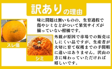 ご家庭用 【先行受付】後藤農園 不知火 8kg 訳あり 訳あり 熊本県 南関町 フルーツ 果物 くだもの 柑橘