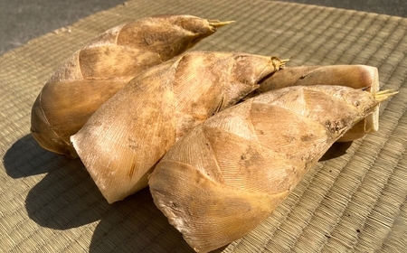 【先行受付】《限定数量》極上 白宗たけのこ 2kg予約 3月〜4月上旬発送 熊本県 南関町産 春 筍