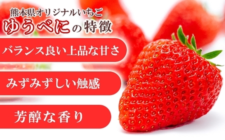 【先行予約】農家直送 南関町産いちご(ゆうべに) 計1kg 4パック 家庭用 4月初旬～末まで 順次発送　Sから3Lまで混在