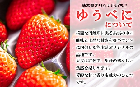 定期便(全2回)【先行予約】農家直送 南関町産いちご(ゆうべに) 計1kg 4パック×2 家庭用 2月・4月の2回発送 Sから3Lまで混在