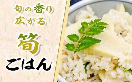 【先行受付】無添加たけのこ水煮 計1.2Kg(300g×4袋) 令和8年産 4月上旬から 熊本県 南関町産 春 新鮮 惣菜 小分け 和食 筍 タケノコ