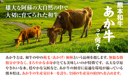 熊本和牛 ランプステーキ 150g×2枚 あか牛のたれ付き 希少部位 熊本県産 あか牛 赤牛 あかうし 三協畜産《60日以内に出荷予定(土日祝除く)》