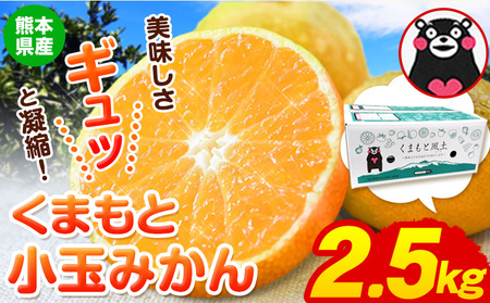 訳あり みかん 小玉みかん くまもと小玉みかん2.5kg (2.5kg×1箱)  秋 旬 不揃い 傷 ご家庭用 SDGs 小玉 たっぷり 熊本県 産 S-3Sサイズ フルーツ 旬 柑橘 長洲町 温州みかん《1月中旬-2月中旬頃出荷》 