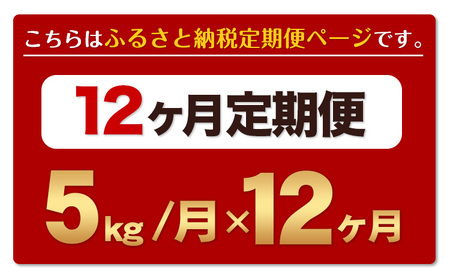 新米 令和7年産 新米 ひのひかり 【12ヶ月定期便】 無洗米  5kg (5kg×1袋) 計12回お届け 《お申込み翌月から出荷》 熊本県産 無洗米 精米 ひの 米 こめ お米 熊本県 長洲町
