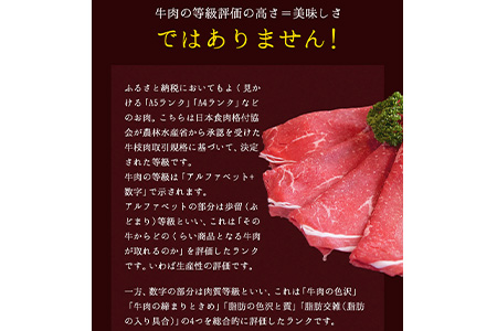 熊本の和牛 くまもと和牛 切り落とし 1 1kg 8月末 10月上旬頃より順次出荷 熊本県産 肉 和牛 牛肉 熊本県長洲町 ふるさと納税サイト ふるなび