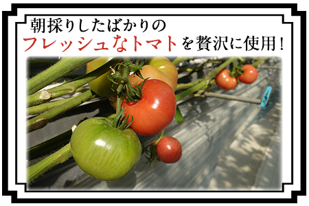 超絶トマットロケチャップ(200g×4個) 四ツ山食品《45日以内に順次出荷