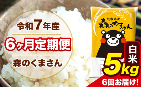 米 令和7年産 森のくまさん 白米 5kg 5kg×1袋 計6回お届け 《お申込み翌月から出荷》 お米 こめ 熊本県産 ご飯 備蓄