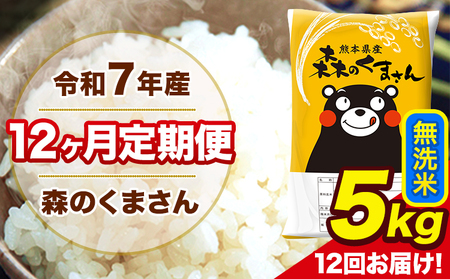 米 令和7年産 森のくまさん 無洗米 5kg 5kg×1袋 計12回お届け 《お申込み翌月から出荷》 お米 こめ 熊本県産 ご飯 備蓄