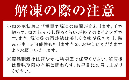 赤身馬刺し  500g (専用醤油付き150ml×1本) 桜屋 《60日以内に出荷予定（土日祝除く）》 熊本県 長洲町 送料無料 肉 馬肉 馬さし 赤身