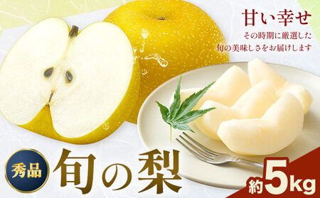 【2026年先行予約】おまかせ梨 秀品 約5kg 日本フルーツ《8月上旬-10月上旬頃出荷》熊本県 長洲町 なし 梨 果物 フルーツ デザート ギフト ご贈答