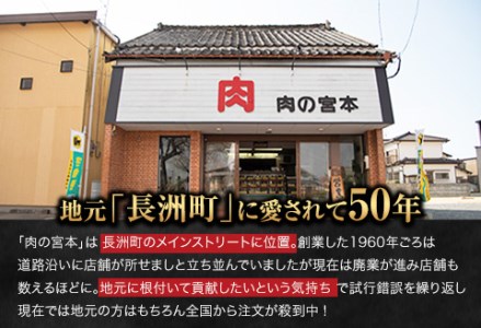 豚ロース味噌漬け 1000g(約100g×10枚) 肉の宮本《45日以内に出荷予定(土日祝除く)》