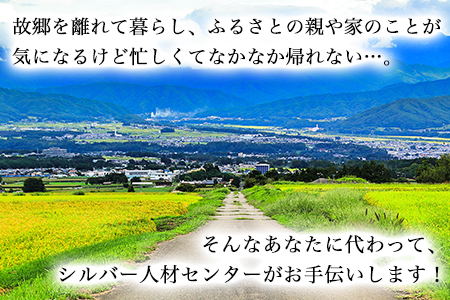 熊本県 長洲町ふるさと親孝行代行サービスA