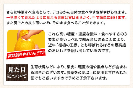 ご家庭用 デコみかん 約5kg 12～24玉前後《2024年2月上旬-4月末頃より出荷予定》デコポン（不知火）と同品種 熊本県産 熊本県 長洲町 訳あり