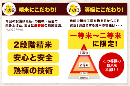 令和5年産 【3ヶ月定期便】 無洗米 特A受賞品種 ひのひかり 森のくま