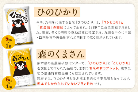 令和5年産 【3ヶ月定期便】 無洗米 特A受賞品種 ひのひかり 森のくま