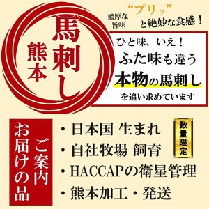 赤身馬刺し 約300g タレ付き 馬肉 熊本の味 純国産 | 熊本県 熊本 くまもと 和水町 なごみ 馬刺し 赤身 300g