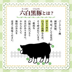 和水 黒いダイヤモンド「六白黒豚」ハンバーグ 5個 | 熊本県 熊本 くまもと 和水町 なごみまち なごみ 豚肉 黒豚 ハンバーグ 冷凍 惣菜