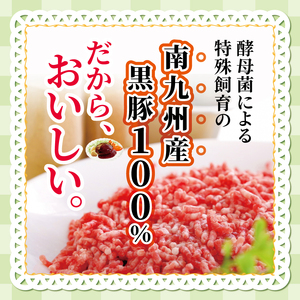 和水 黒いダイヤモンド「六白黒豚」ハンバーグ 5個 | 熊本県 熊本 くまもと 和水町 なごみまち なごみ 豚肉 黒豚 ハンバーグ 冷凍 惣菜