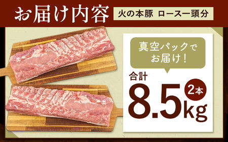 火の本豚 ロース１頭分 ( 真空パック 1本×2 )  合計 8.5kg以上 | 熊本県 和水町 くまもと なごみまち 豚肉 肉 ロース 豚ロース 8500g 冷凍 業務用 大容量