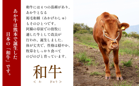 本場熊本産！あか牛 切り落とし 500g 牛肉