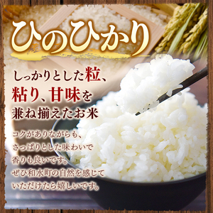 令和7年産 ひのひかり・森のくまさん・くまさんの輝き 3種食べ比べ セット 無洗米 15kg 米 こめ