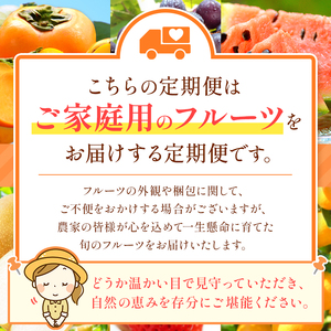 【 定期便 10回 】 ニッコリ 堪能 ！ 人気 フルーツ ご家庭用 ｜2回 3回 4回 5回 6回 7回 8回 9回 10回 11回 12回 4回（3カ月毎） 6回（2カ月毎）