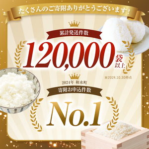  令和6年産 新米  熊本県産 ほたるの灯り 無洗米 10kg | 小分け 5kg × 2袋  熊本県産 こめ 米 無洗米 ごはん 銘柄米 ブレンド米 複数原料米 人気 日本遺産 菊池川流域 こめ作り ごはん ふるさと納税 返礼品