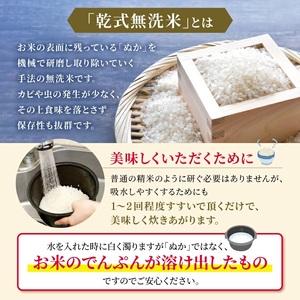 令和6年産   【定期便6回】 熊本県産 ほたるの灯り 無洗米 10kg | 小分け 5kg × 2袋  熊本県産 こめ 米 無洗米 ごはん 銘柄米 ブレンド米 複数原料米 人気 日本遺産 菊池川流域 こめ作り ごはん ふるさと納税 返礼品