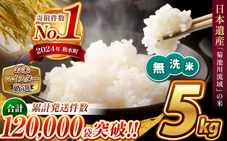  令和6年産 新米  熊本県産 ほたるの灯り 無洗米 5kg | 小分け 5kg × 1袋  熊本県産 こめ 米 無洗米 ごはん 銘柄米 ブレンド米 複数原料米 人気 日本遺産 菊池川流域 こめ作り ごはん ふるさと納税 返礼品無洗米