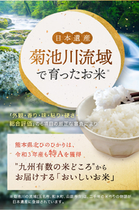 令和6年産 新米  熊本県産 くまさんの輝き 白米 10kg | 小分け 5kg × 2袋  熊本県産 こめ 米 白米 ごはん 銘柄米 ブランド米 単一米 人気 日本遺産 菊池川流域 こめ作り ごはん ふるさと納税 返礼品