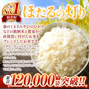 令和7年産 熊本県産 ほたるの灯り 無洗米 30kg | 選べる 銘柄 ほたるの灯り 森のくまさん 容量 5kg 10kg 15kg 20kg 25kg 30kg 特A 小分け