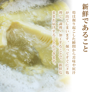 無添加高品質 タケノコ 1.2kg たけのこ