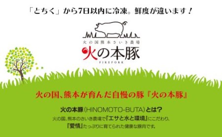  グランプリ受賞火の本豚！切り落とし2.2kg | 豚肉 熊本 豚肉 熊本県 豚肉 和水 豚肉 和水町 豚肉 火の本豚 豚肉 地域ブランド 豚肉 地方ブランド 豚肉 2.2kg