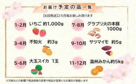 【定期便６回】支援企画！くまもと生産農家応援 定期便 ！ コロナ影響・災害被害 肉 野菜 フルーツ