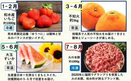 【定期便６回】支援企画！くまもと生産農家応援 定期便 ！ コロナ影響・災害被害 肉 野菜 フルーツ