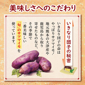 和水 いきなり団子 20個 団子 だんご