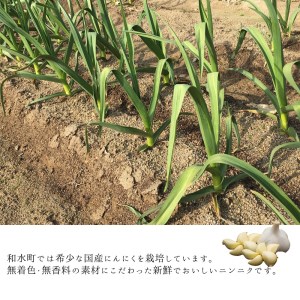 九州産 おろし にんにく 1kg | 熊本県 熊本 くまもと 和水町 なごみまち なごみ にんにく ニンニク 大蒜 冷蔵 おろし 九州産