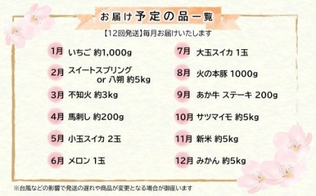 【 定期便 12回 】支援 企画 ! くまもと 生産 農家 応援 定期便 ! 肉 野菜 フルーツ