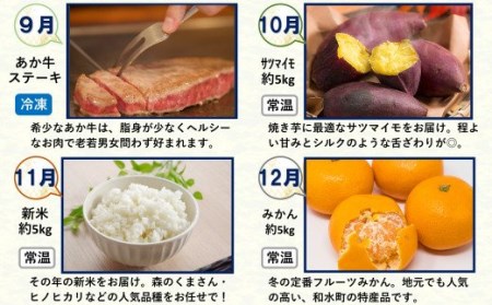 【 定期便 12回 】支援 企画 ! くまもと 生産 農家 応援 定期便 ! 肉 野菜 フルーツ
