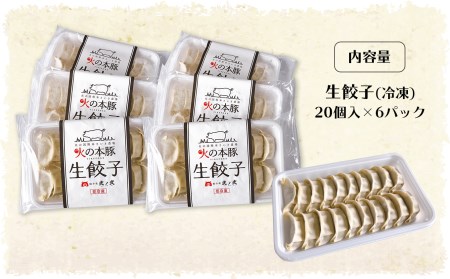 火の本豚餃子 （20個×6パック）120個入 | 熊本県和水町 | ふるさと納税