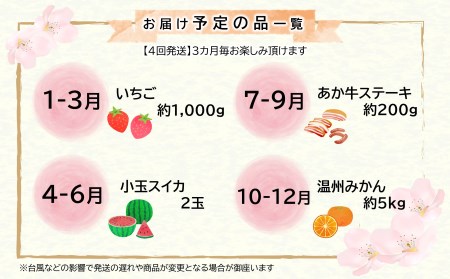 【定期便4回】支援企画!くまもと生産農家応援 定期便 ! 肉 野菜 フルーツ