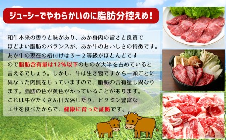 肥後の赤牛　すき焼き用 500g | 熊本県 熊本 くまもと 和水町 なごみまち なごみ 牛肉 肉 あか牛 赤牛 肥後 冷凍 すき焼き 500g