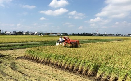 令和5年産 松村さんちの田んぼで穫れたお米「ひのひかり」10kg
