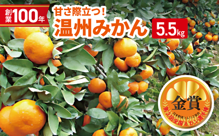 創業100年 甘さ際立つ！ 温州みかん （くまもと和水町産） | 第3回全国ミカン選手権 金賞受賞 熊本県 みかん 和水町 くまもと みかん なごみまち 5.5kg 果物 フルーツ ミカン