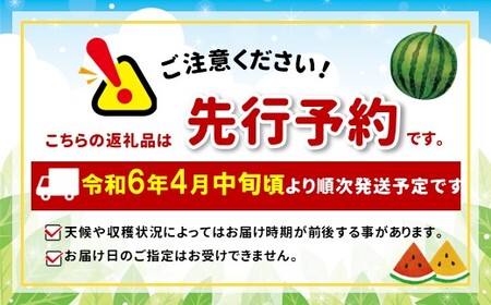 小玉スイカ（赤色）2玉 熊本県和水町産 【先行予約】