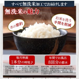 数量限定 期間限定 無洗米 3品 食べ比べ 15kg ひのひかり 森のくまさん くまもとの米