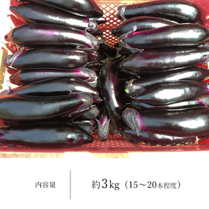 なす 3kg 和水町産 野菜 | 熊本県 和水町 なす 熊本 なごみまち ナス 野菜 季節 なす 農家直送 ナス 3000g 15～20本 なす